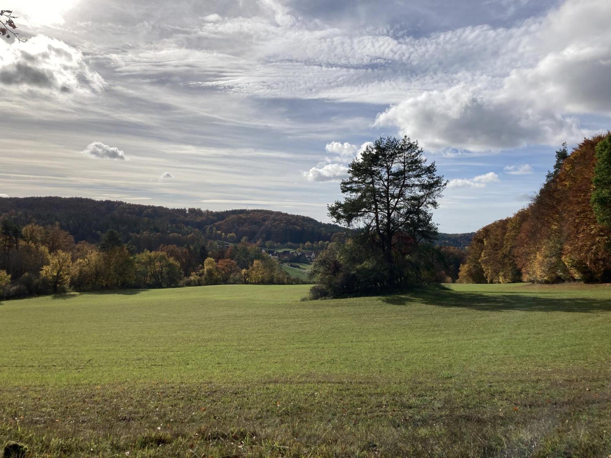 Апартаменти Brunnerhof Urlaub Auf Dem Land Hartenstein  Екстер'єр фото